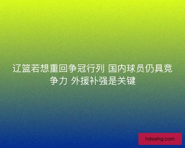 辽篮若想重回争冠行列 国内球员仍具竞争力 外援补强是关键